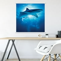 Плакат за стена от акула - дълбочини с дървена магнитна рамка, 22.375 34