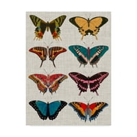Търговска марка изобразително изкуство 'полихромни пеперуди и' платно изкуство от Вижън студио
