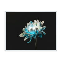 Дизайнарт 'близък план на бяло и чисто синьо цвете маргаритка и' традиционна рамка платно стена арт принт